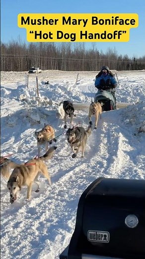 Hot Dog Handoff to Musher Mary Boniface at Alaska's 2026 Su Dog 300 mile sled dog race.
