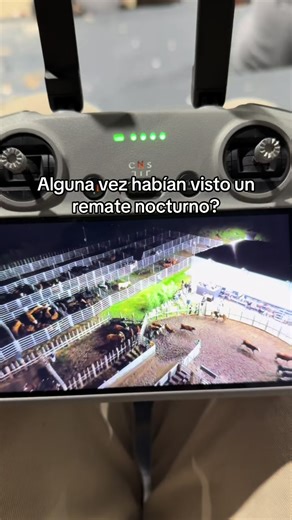 Remate Nocturno en Marcos Juárez: Una Experiencia Única