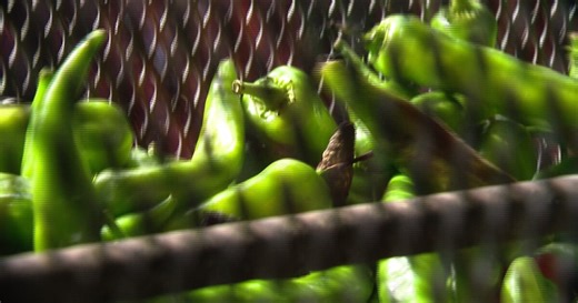 Fun-filled events across Colorado this weekend September 20 - 22