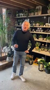 Hello there! With only 5 days to go until we open, the excitement is building and we can't wait to Spring Back in style! This week we will share with you some of the newness in-store we've been working on. Here's a little sneak peek of our new botanical area which is waiting to greet you when you enter! Have a lovely evening and see you very soon, Louis xx | Millhouse Furniture & Interiors