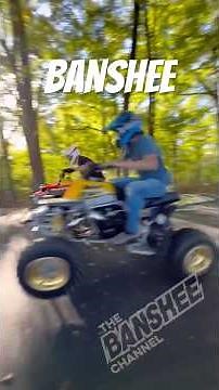 Pro Circuit vs FMF