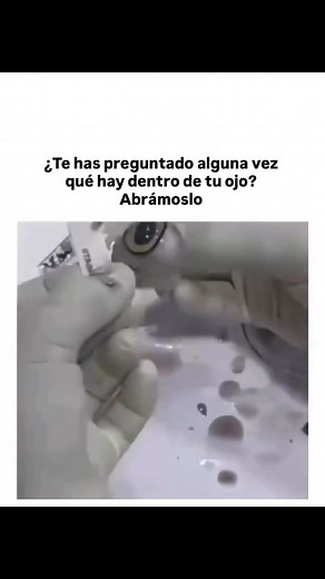 Explorando la Biomedicina: Estructura del Ojo