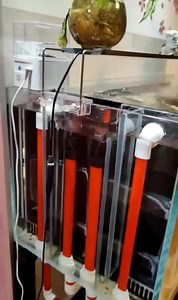 The drain silencer is currently in stock and can be purchased directly from our official website if needed. https://www.jyaquarium.com/product-page/aquarium-drain-silencer #jyaquarium #aquaplus #aqua #aquascape #plantedtank #aquarium #aquariumhobby #Aquascaping #aquatic #reef #aquariums #aquariumdesign #Reefaquarium #Nanoaquarium #Freshwateraquarium #Marineaquarium #Aquariumlighting #Aquariumfilter #Aquariumdecor | J&Y Aquarium