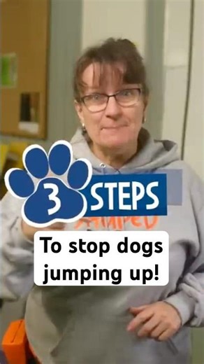 The Real Reason Dogs Jump Up