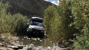 145K views · 445 reactions | The Dodge TerraRAM is on the move...