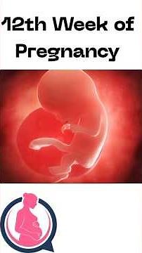 "12 weeks of pregnancy! 🤰 #12WeeksPregnant #PregnancyJourney #BabyBump #PregnancySymptoms #MomToBe"