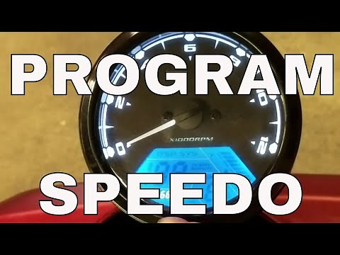 PROGRAMMING YOUR SPEEDO ON YOUR ICEBEAR MADDOG VER 3 & 4