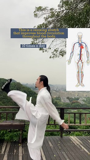 TikTok · Wudang.Zidong