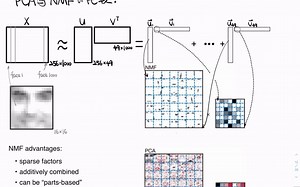 [Neural Decoding] Matrix Decomposition 3. NMF