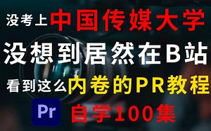 【PR教程】从零开始学剪辑（新手入门实用版）B站目前最好学的PR基础教程！全网终于有人能把PR教明白了！