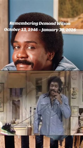 The Imagination Realm LLC 🎬 on Instagram: "Remembering Demond Wilson October 13, 1946 – January 30, 2026 Best known as Lamont Sanford on Sanford and Son, Demond Wilson helped define an era of television with humor, heart, and lasting cultural impact. What role do you remember him most for? #DemondWilson #SanfordAndSon #TVLegend #ClassicTelevision #BlackTVHistory"