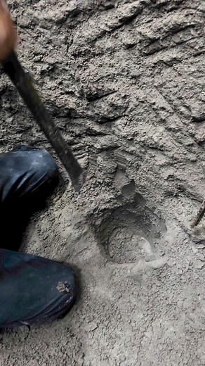 1M views · 13K reactions | Sembraremos un millón de árboles y reforestaremos nuestro país Honduras | Beto Reyes | Facebook