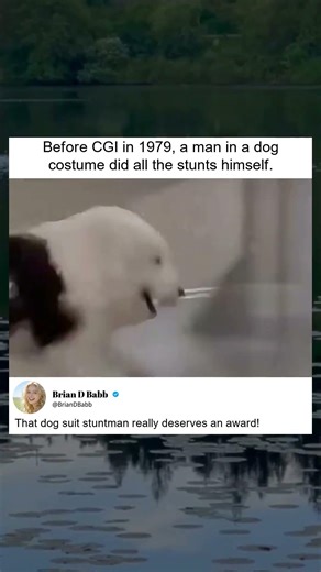 Stuntman in Dog Costume: Pre-CGI Era 1979