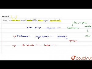 How do earthworm and leech differ with regard to coelom? | 11 | ANIMAL KINGDOM | BIOLOGY | PRAD...