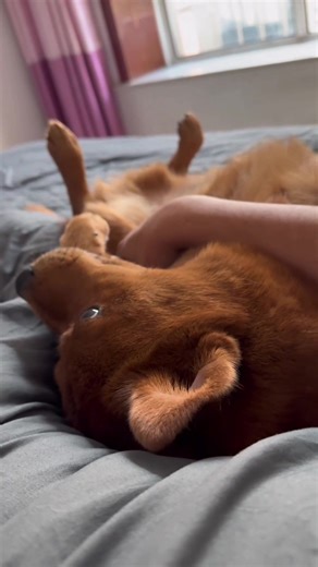 Stop shouting. Stop shouting. Is it okay for me to go down😂😂 | Please call me Fatty