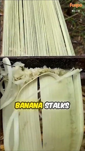 Turning Banana Trees into Fiber Threads!