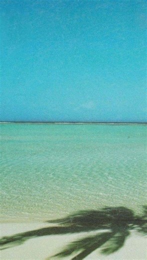 M.CREATIVESTUDIO on Instagram: "Stolen clips from Season 8 💛🌟🍯"