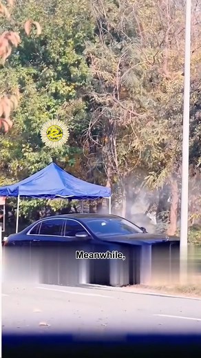 59K views · 1.3K reactions | The Woman Who Tried to Marry into Wealth | Home alone | Facebook