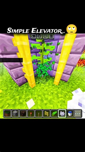minecraft simplest lift