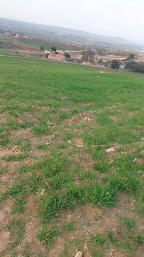 جواد جواد sur TikTok