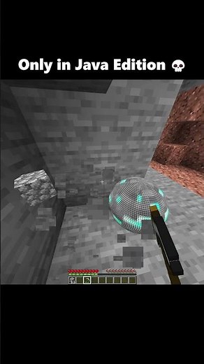 Only in Java Edition 💀 #minecraft #shorts