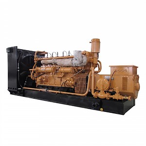 [Hot Item] Chinese Propane Gas Powered Generators for Sale