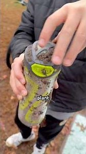 Growing a alien in a water bottle PART 2