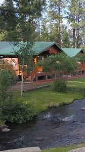 Where the green grass grows and the river flows 🌿✨ Enjoy the last days of summer in our riverside cabins for just $149/night through 8/30. Don’t miss out on nature’s best—book your getaway today! 🌞🏞️ | Greer Lodge Resort & Cabins