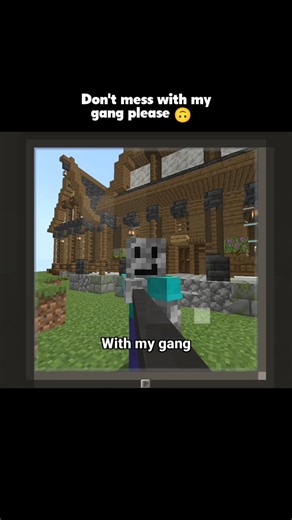 Me and My Minecraft Gang