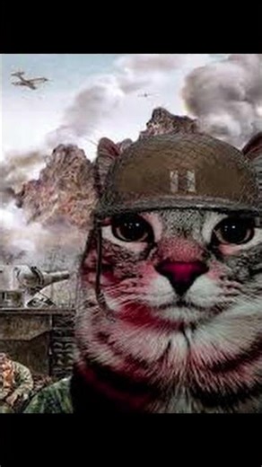 capcake can not join us 😭🥀 #slideshow #memes #dankememes #funnymemes #funny #shorts