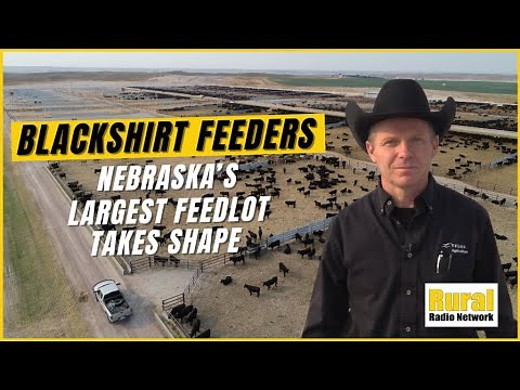 Blackshirt Feeders - Part 1: Nebraska’s largest feedlot takes shape