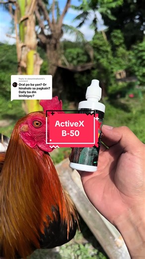 B-Complex Oral Drops for Vitamin Maintenance