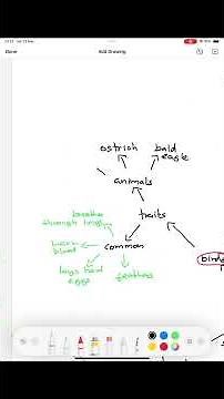 Memorize with Mind Maps