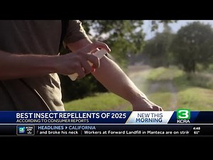 Consumer Reports: The best insect repellents for 2025