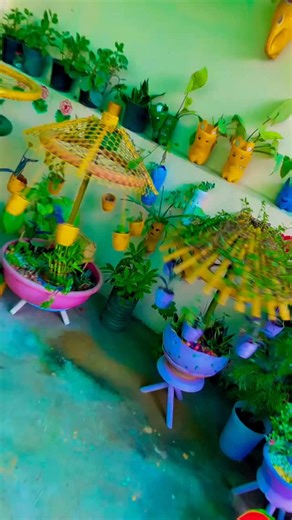 Savita’s terrace Garden on Instagram: "Beautiful rose flowers gardening"