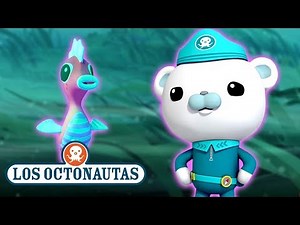 Los Octonautas Oficial En Español - Salvando los Caballitos de Mar