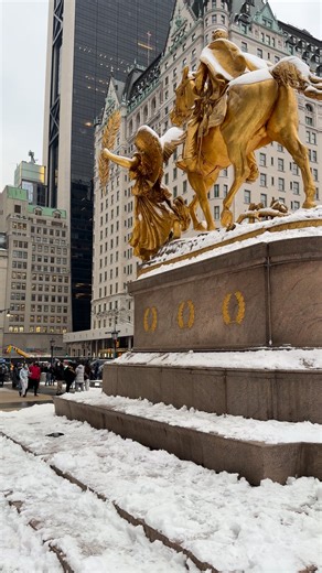 Snowy New York City - The Plaza Hotel | New York City Photos