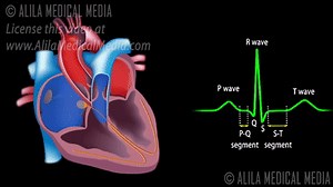 Cardiac Conduction System and Understanding ECG, Animation. on Make a GIF