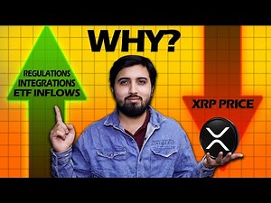 The ONLY XRP video you need to watch to understand XRP!