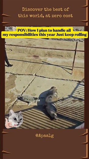 The Perfect Summer Roll: Seal Edition