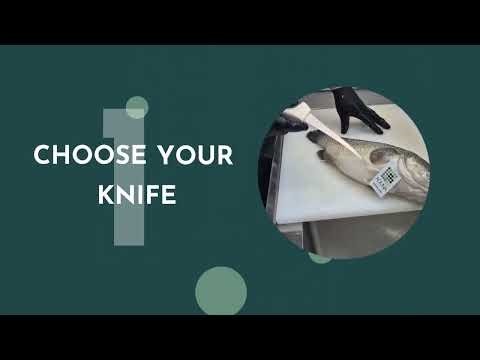 How to fillet an Aquna Murray Cod