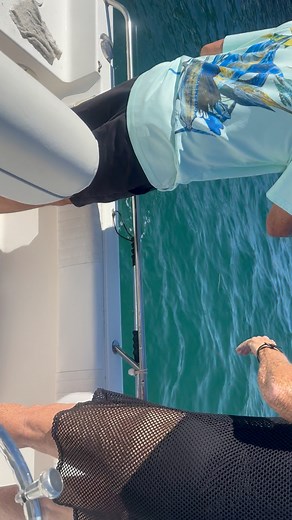 1.1K views · 18 reactions | Shark!! | Bruce Bryant | Facebook