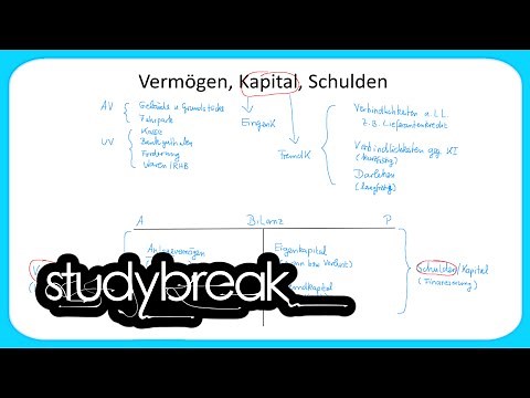 Vermögen, Kapital, Schulden | Grundbegriffe der Wirtschaftslehre