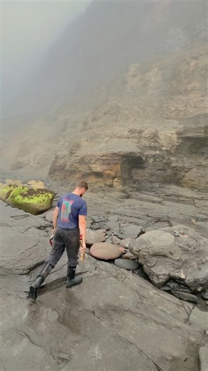 2.5M views · 52K reactions | Here is a stunning example of a...