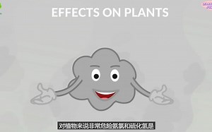 空气污染Air Pollution | Video for Kids | Causes, Effects & Solution