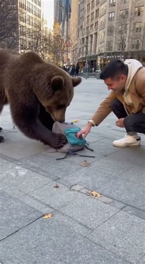 Just watch… trust me! #funny #cute