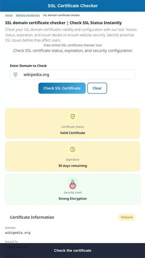 SSL Certificate Checker - Verify Domain Security #Shorts