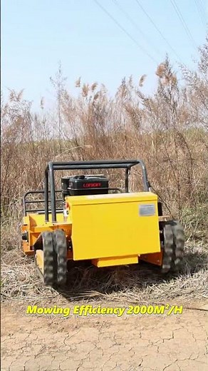 ✨This zero-turn remote flail mower handles tough weeds on slopes and orchards effortlessly