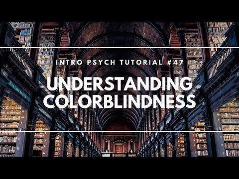 Understanding Colorblindness (Intro Psych Tutorial #47)