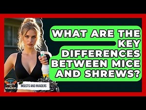 What Are The Key Differences Between Mice And Shrews? - Insects and Invaders